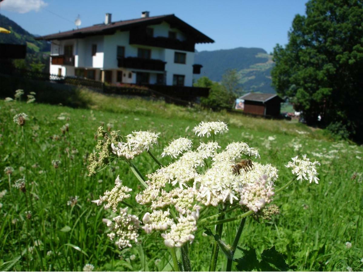 Appartement Hollaus Fuegen Exterior photo